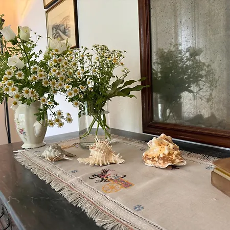 Casa Romana Casa vacanze Viareggio