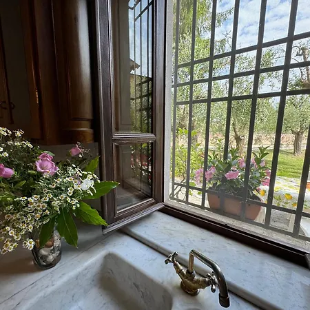 Casa Romana