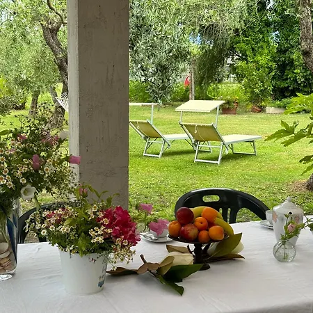 Casa Romana Casa vacanze Viareggio