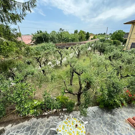 Semesterbostad Casa Romana *