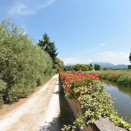 Casa Romana Viareggio